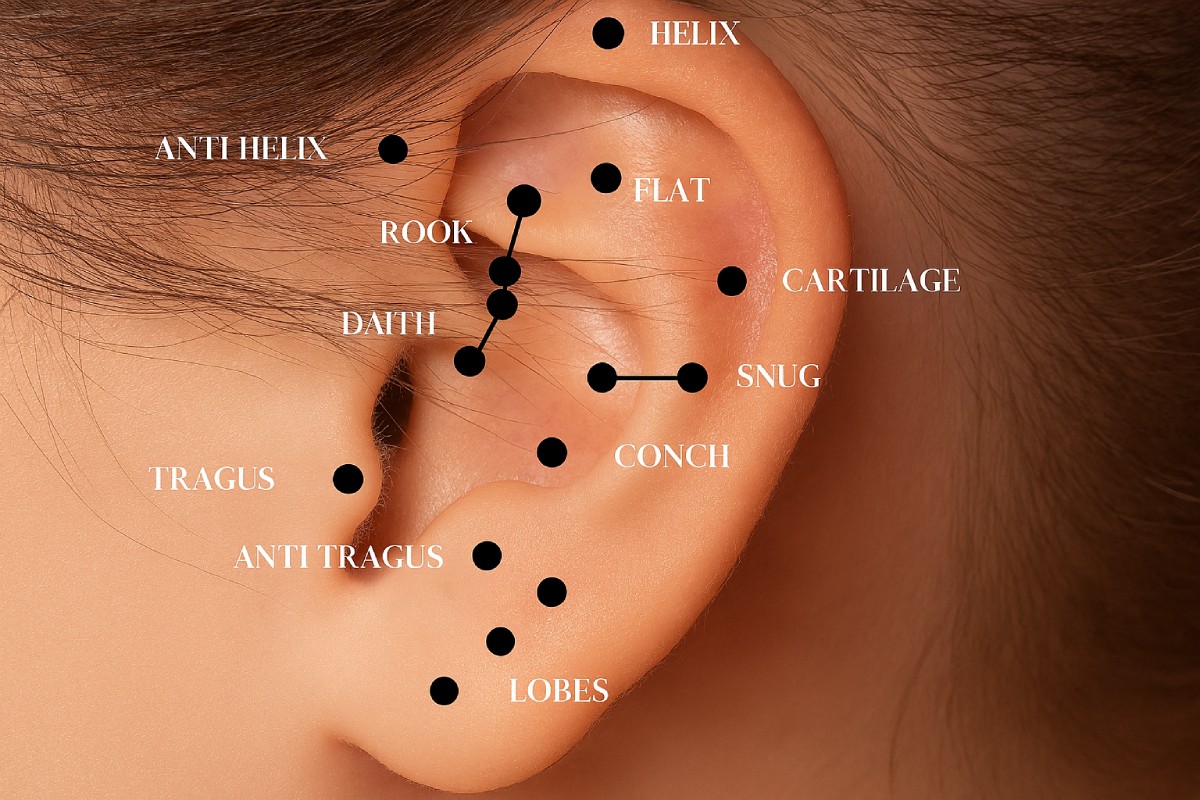 Visuel explicatif sur les types de piercings d’oreille, leurs noms, leur emplacement et conseils pour bien choisir son bijou après perçage